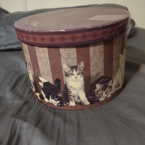 Kitty City Revelations Box with Tray inserts Lid  7.5x5in Round Box - Picture 3 of 7